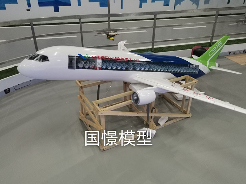 额敏县飞机模型